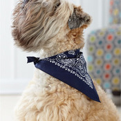 USA-Made Doggie Bandana